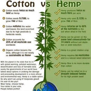 hempversuscotton